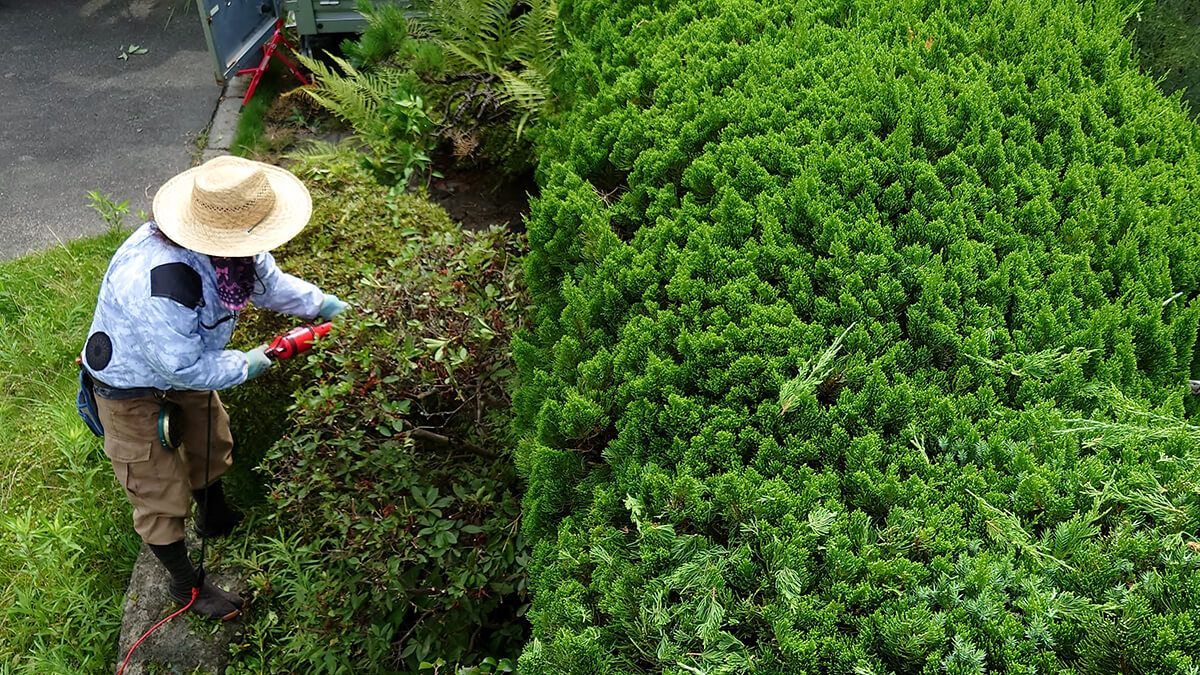教育体制について